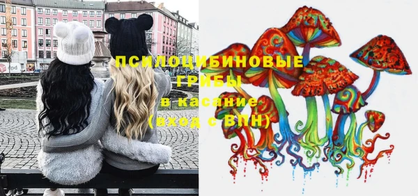 дживик Балахна
