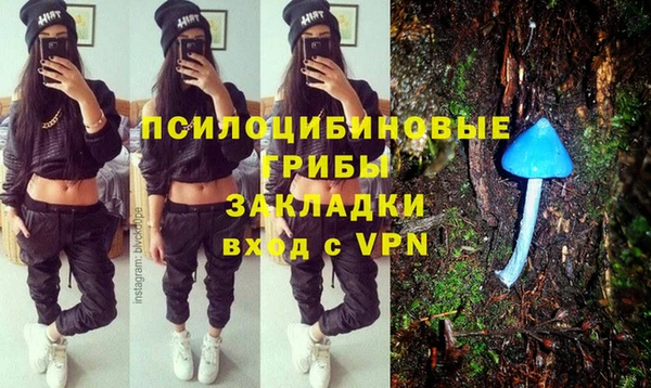 дживик Балахна