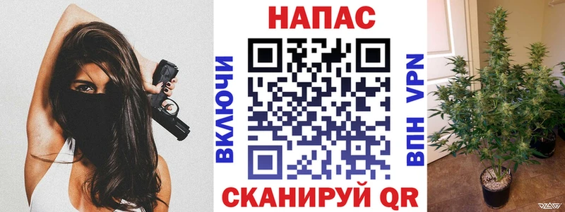 купить  сайты  Иркутск  Бошки марихуана THC 21% 
